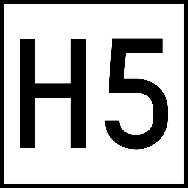 H5 profile picture.