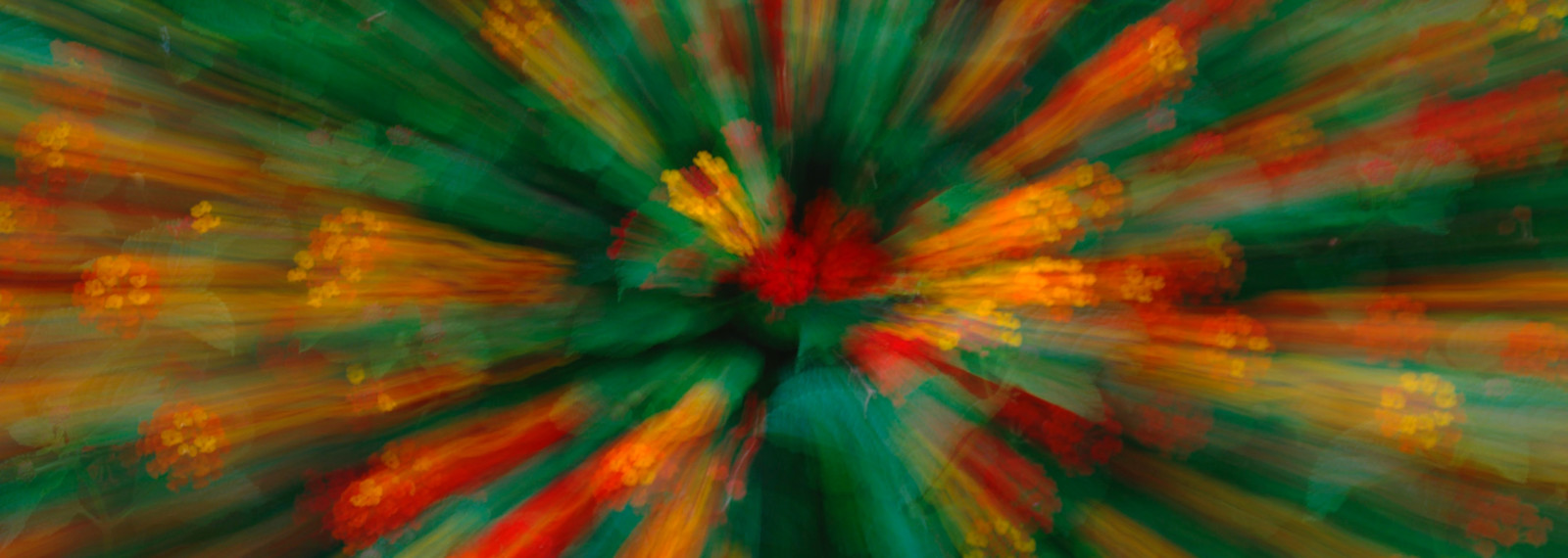 Abstract image of coloured lights leading to a central circle