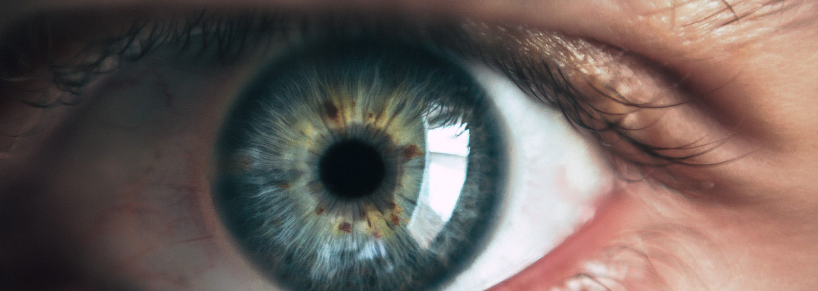 Image of a close up of a human eye