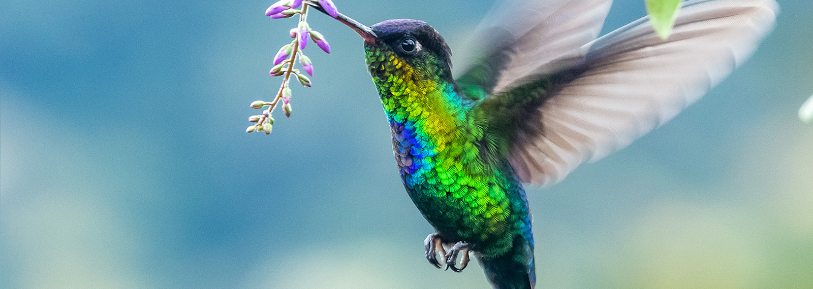 Image of Business consequences of tax driving net zero ambitions