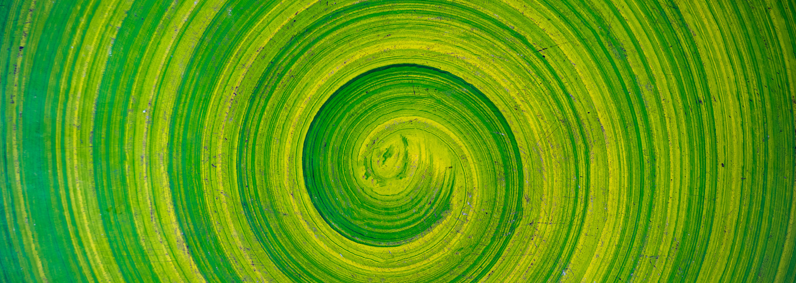 Tax and ESG – The View of ESG experts