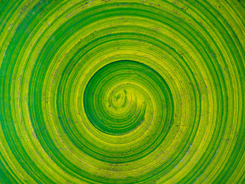 Tax and ESG – The View of ESG experts