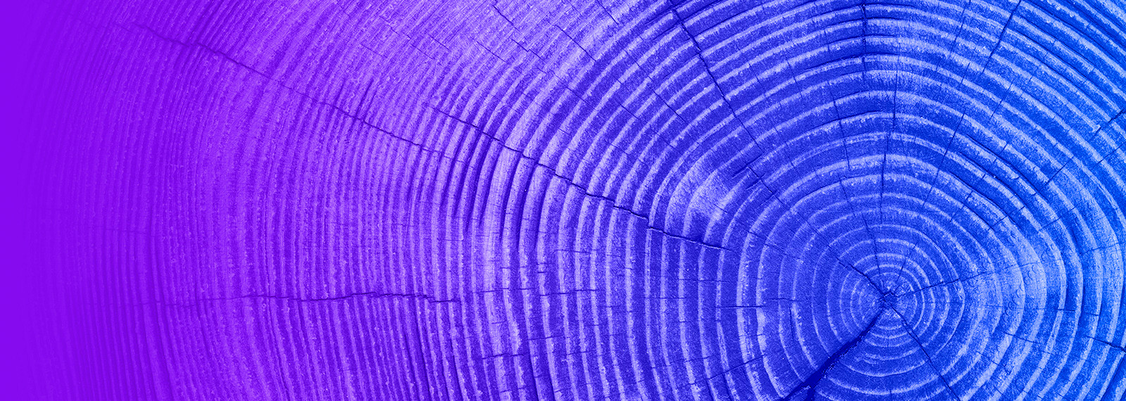 Image of Tax and ESG: The view in Denmark