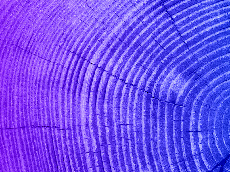 Image of Tax and ESG: The view in Denmark