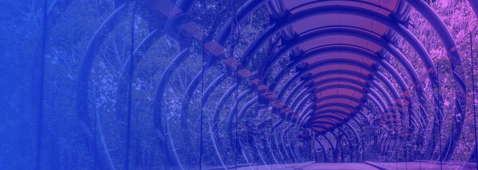 Image of Tax and the Circular Economy: The African perspective