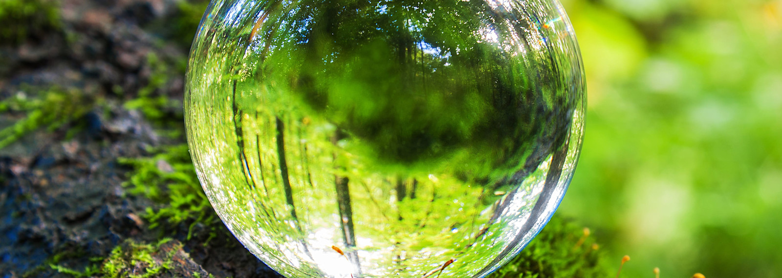 Image of Tax and facilitating investment into carbon abatement projects: Discussion paper in the light of COP26