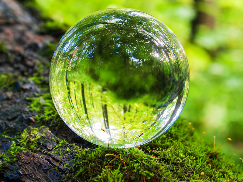 Image of Tax and facilitating investment into carbon abatement projects: Discussion paper in the light of COP26