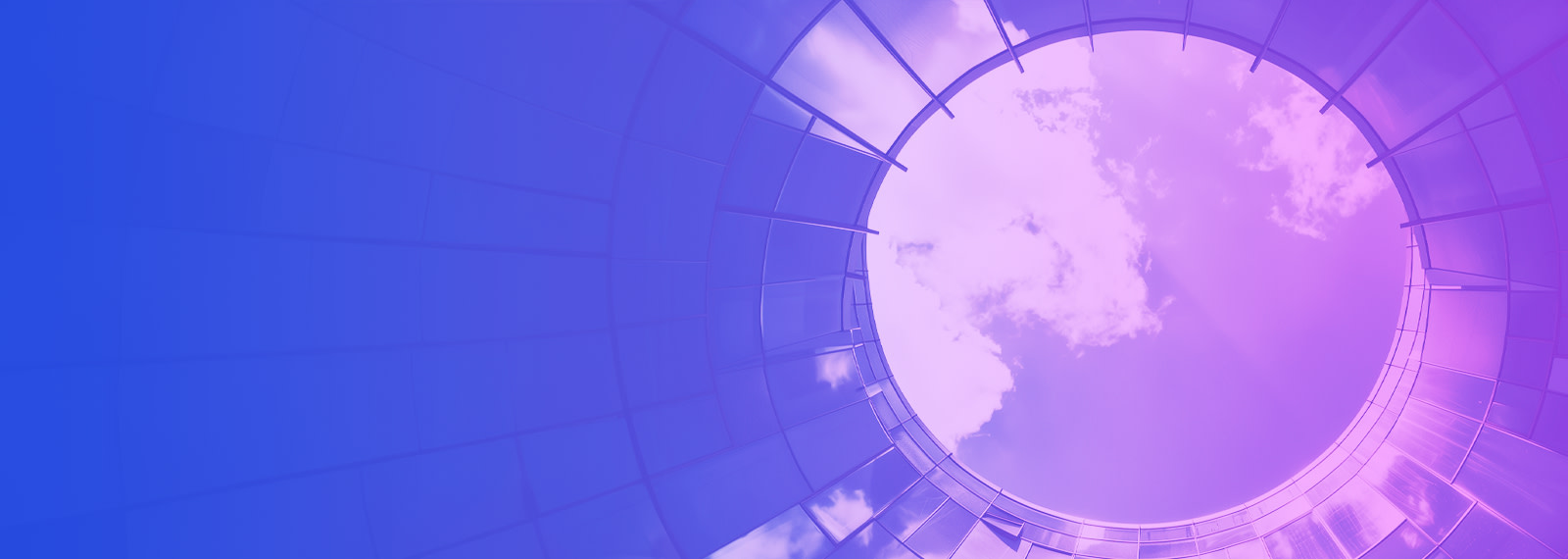 Image of Will wealth taxes work?