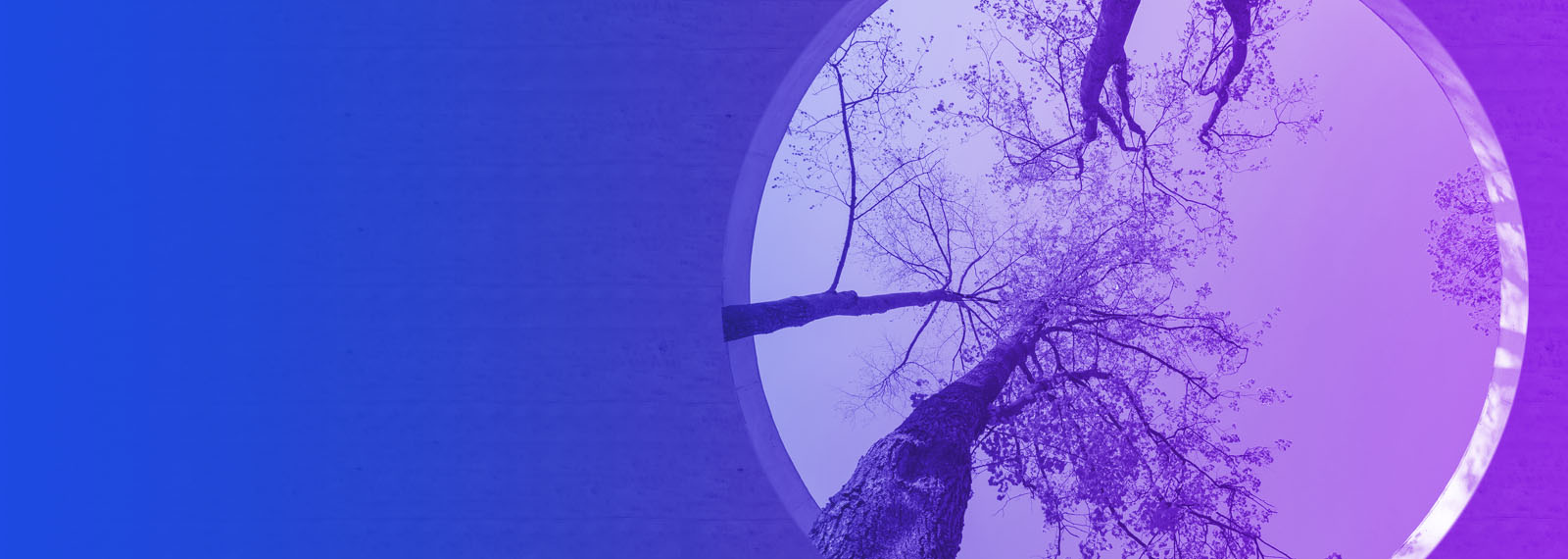 Image of Part 2 | Tax and Carbon: Carrot or stick? Virtual roundtable