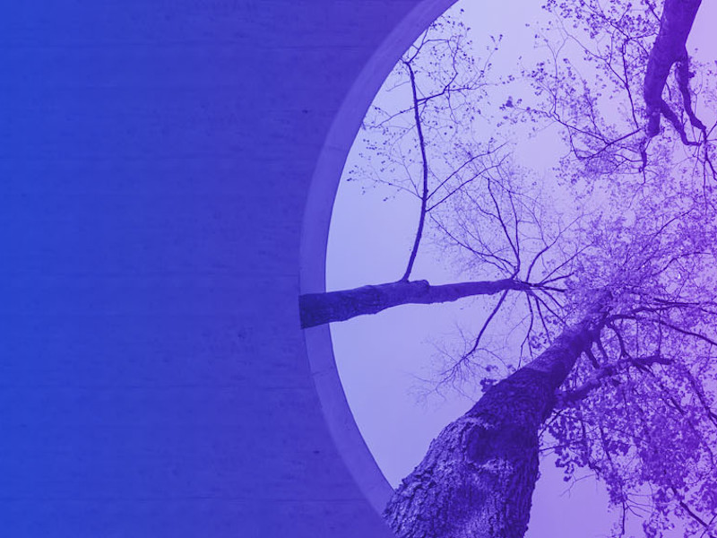 Image of Part 2 | Tax and Carbon: Carrot or stick? Virtual roundtable