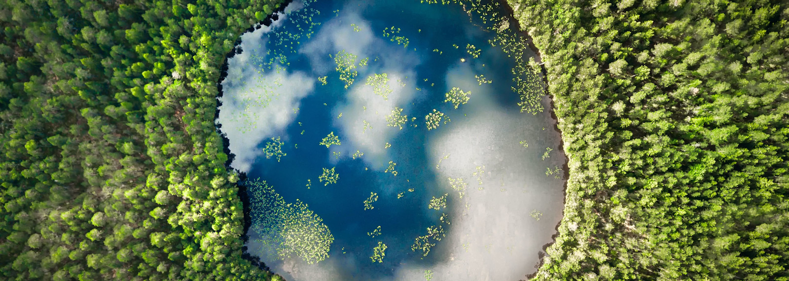 Image of Tax can save the world