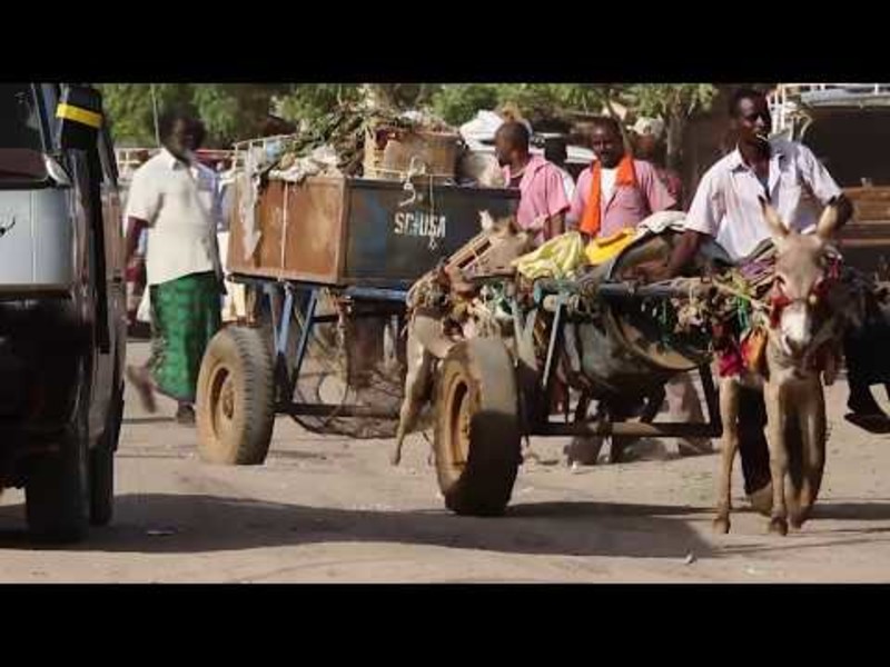 Image of Responsible Tax and the Developing World