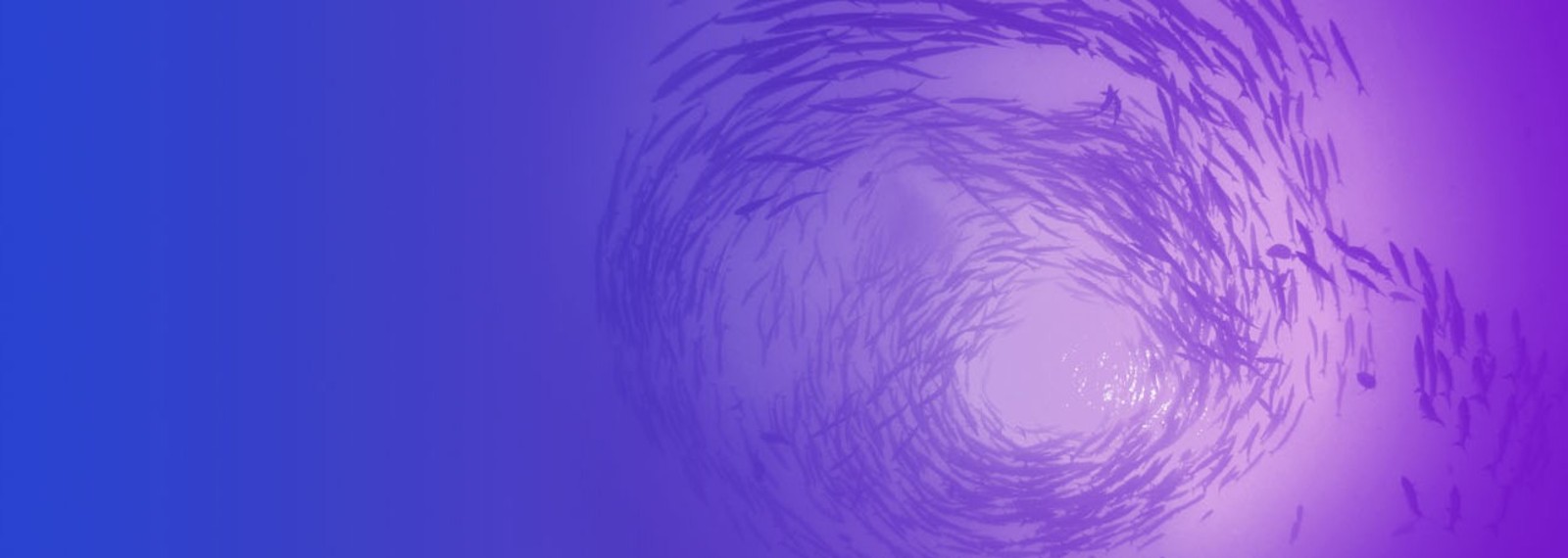 Image of Part 2 | Putting Tax to Work: Tax Policy and the Changing Nature of Work