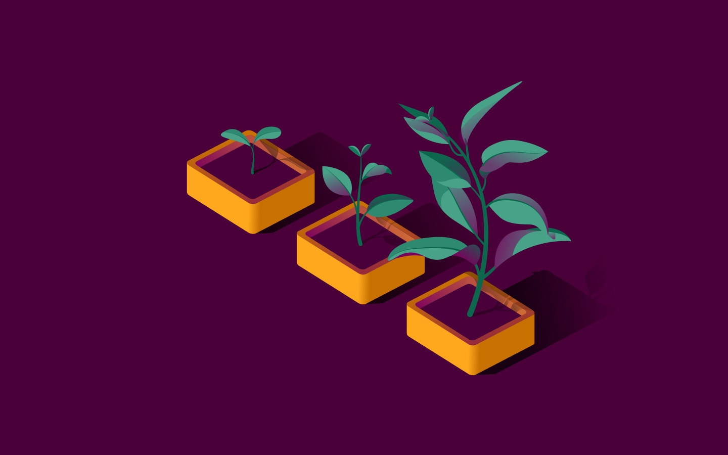 Blog Hero - Growth