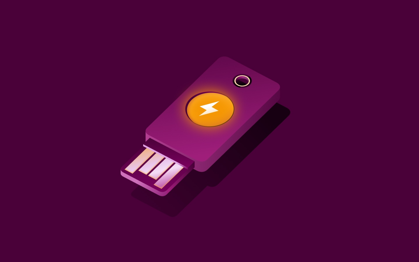 Spot Illustration - Yubikey, generic