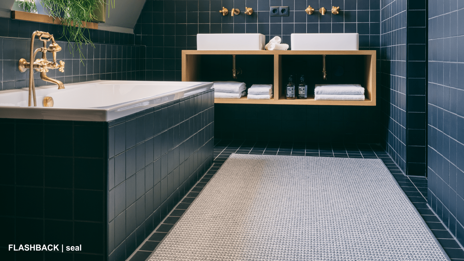 Flashback Seal Bathroom