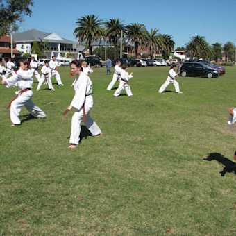 park-training - img 1085