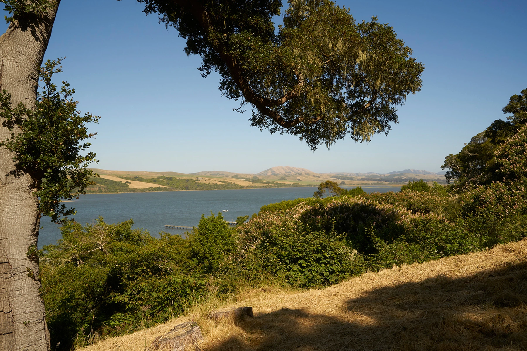 Marin Compound