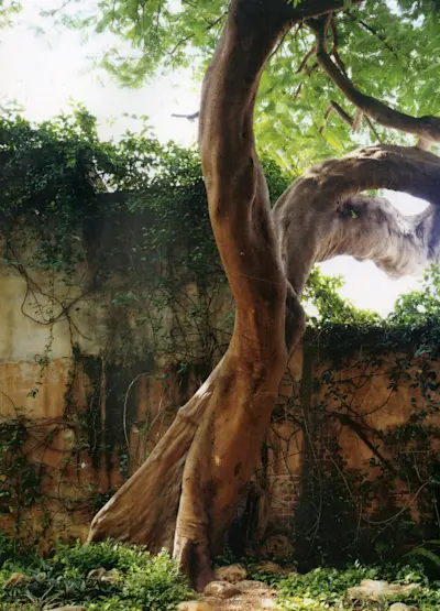 Photo by Martyn Thompson from "Working Space - An Insight into the Creative Heart" via Bassam Fellows