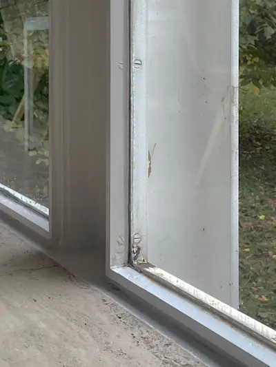 The beams are so perfectly taught they ring like a tuning fork if tapped correctly.