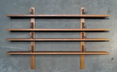 B17 shelves by Pierre Chapo