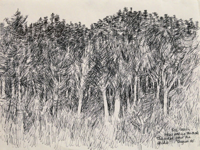 Sea Ranch: View Looking Towards the Ridge from the Studio, 1985 Ink on paper