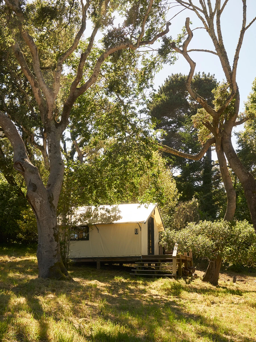 Marin Compound