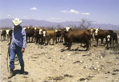 Donald Judd. Photo circa 1990.