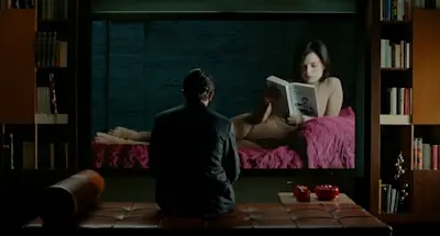 The Skin I Live In, 2011