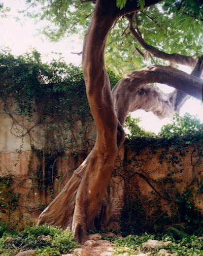 Photo by Martyn Thompson from "Working Space - An Insight into the Creative Heart" via Bassam Fellows