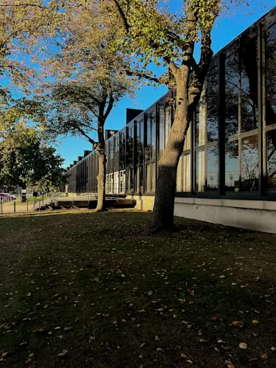 IIT Campus. Every fenestration has perfect rhythm, all working off the same determined unit of grid.