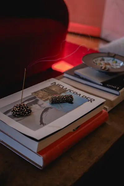 Lisa Eisner Urchin Incense Holder and Lighter with Commune Incense burning on the coffee table.
