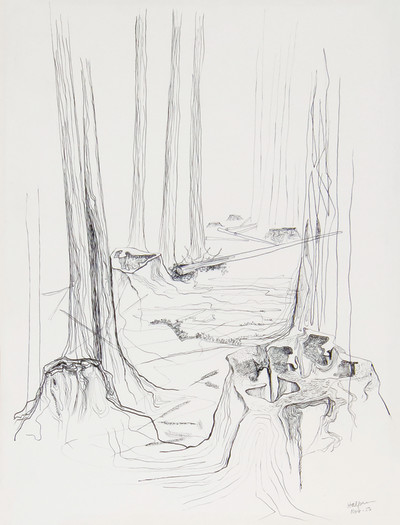 Redwood Path, 1956 Pen and ink on paper