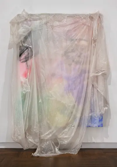 Untitled by David Hammons, 2010. Art Basel Catalog; Mnuchin Gallery