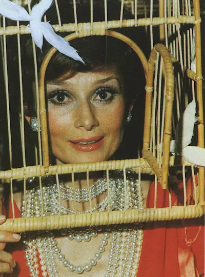 Fêtes : Mémorables Bals Costumes