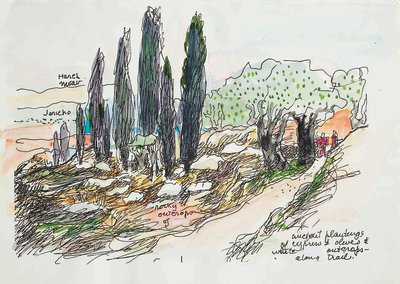 Ancient plantings near Jericho, 1979 Photocopy, ink, and watercolor on paper