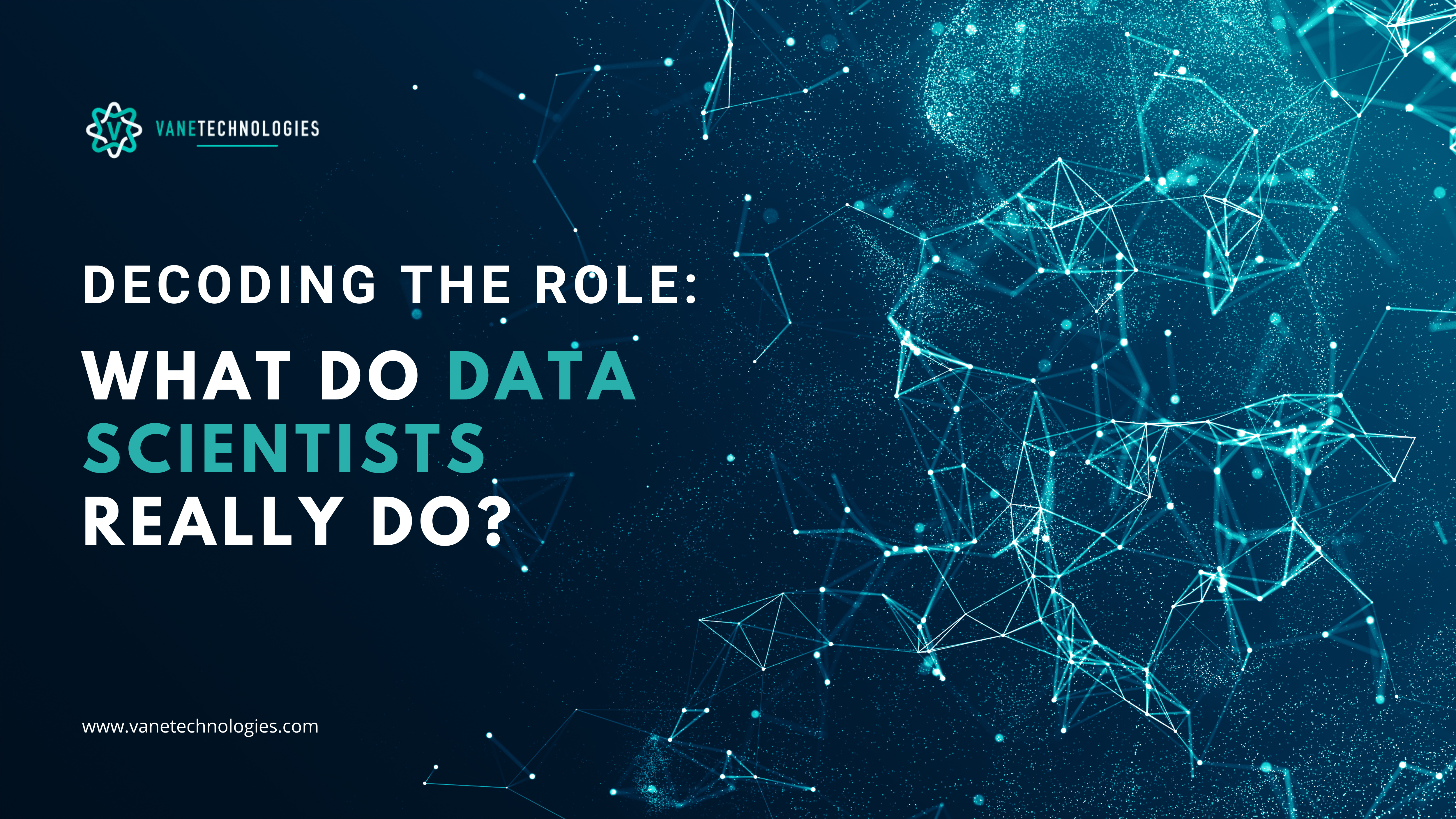 Decoding the Role: What Do Data Scientists Really Do?