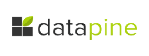 Datapine Logo