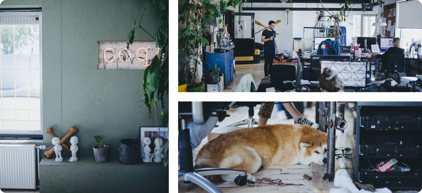 Coqtail's home is an urban jungle in the heart of the Netherlands, where even pets are welcome.