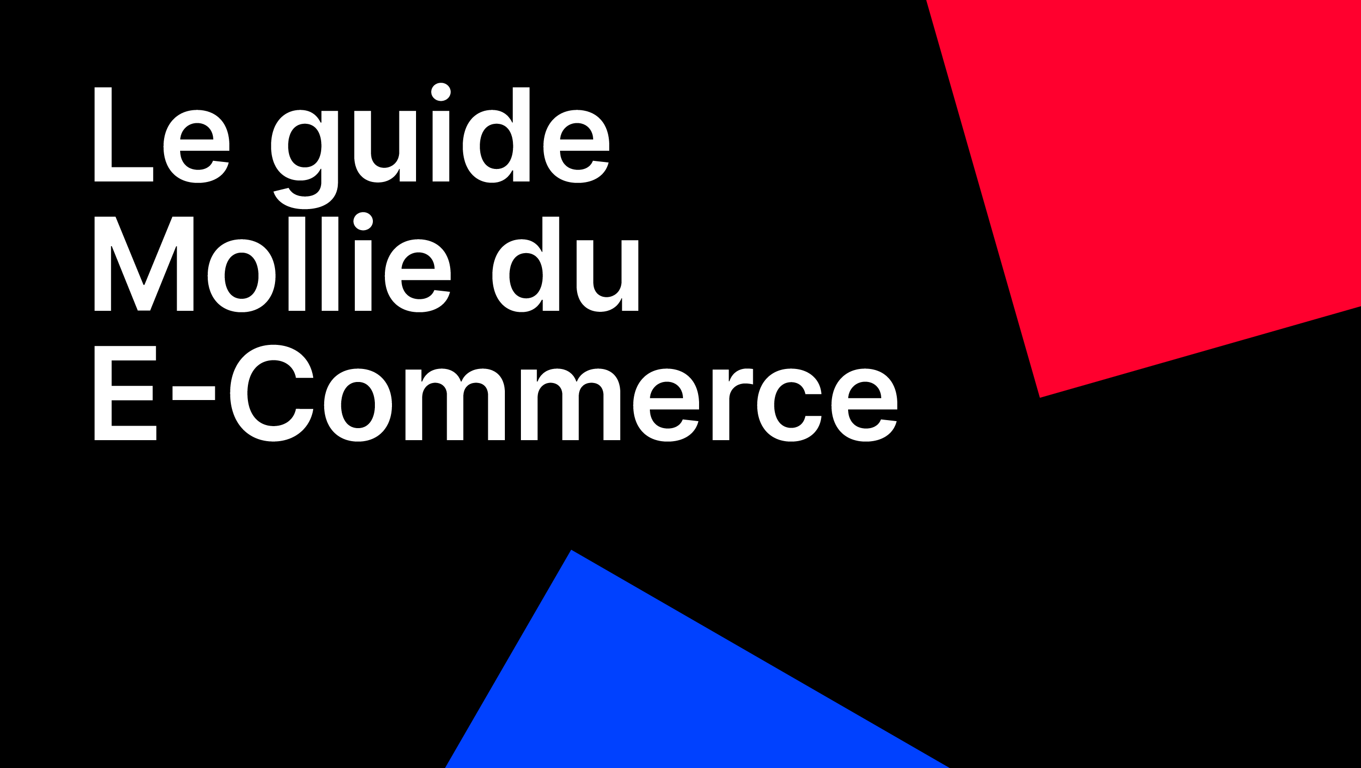 Envie de vous développer à l'international ? Téléchargez dès maintenant votre guide de l'e-commerce pour l'Europe