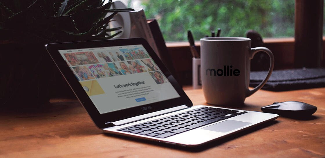 Mollie is here for you during the Coronavirus