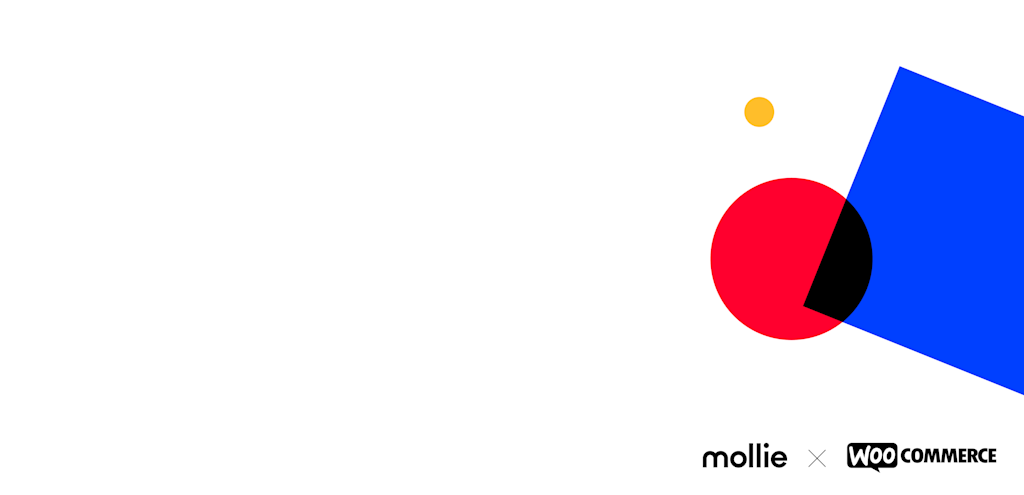 How the right WooCommerce checkout process helps increase your sales | Mollie