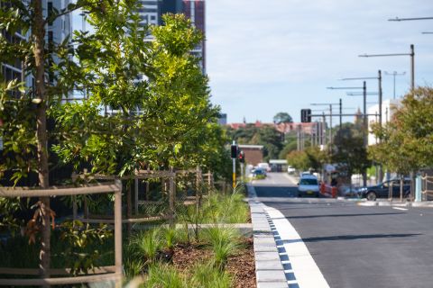 Zetland Avenue is lined by trees, helping keep the street cool. 