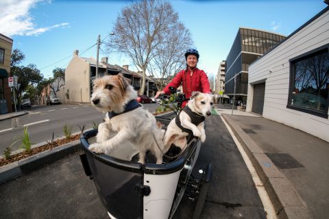 Fiona Campbell rides with furry friends on Saunders and Miller streets cycleway