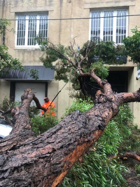 SES clean up after a tree falls in our local area earlier this year. Photo: NSW State Emergency Service