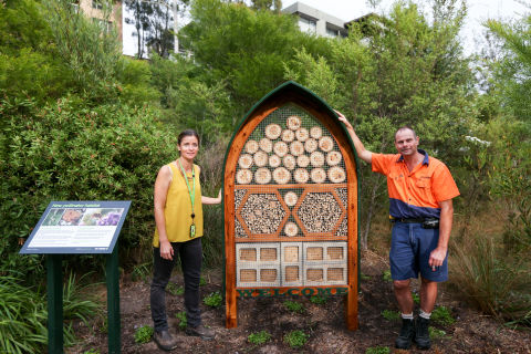 City of Sydney’s Urban Ecology Coordinator Sophie Golding and carpenter Marc Dieckmann with a pollinator habitat on the Glebe foreshore.