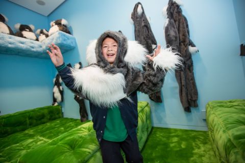 Participant in the 2016 Bella Room Commission, The Koala Room, 2016, Kathy Temin, commissioned by the Museum of Contemporary Art Australia for the Jackson Bella Room, 2016, image courtesy and © the artist. Photograph: Daniel Boud