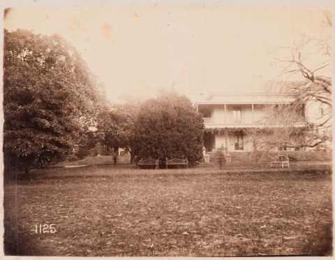 Toxteth Park House, 1890. Credit: Mitchell Library, State Library of NSW