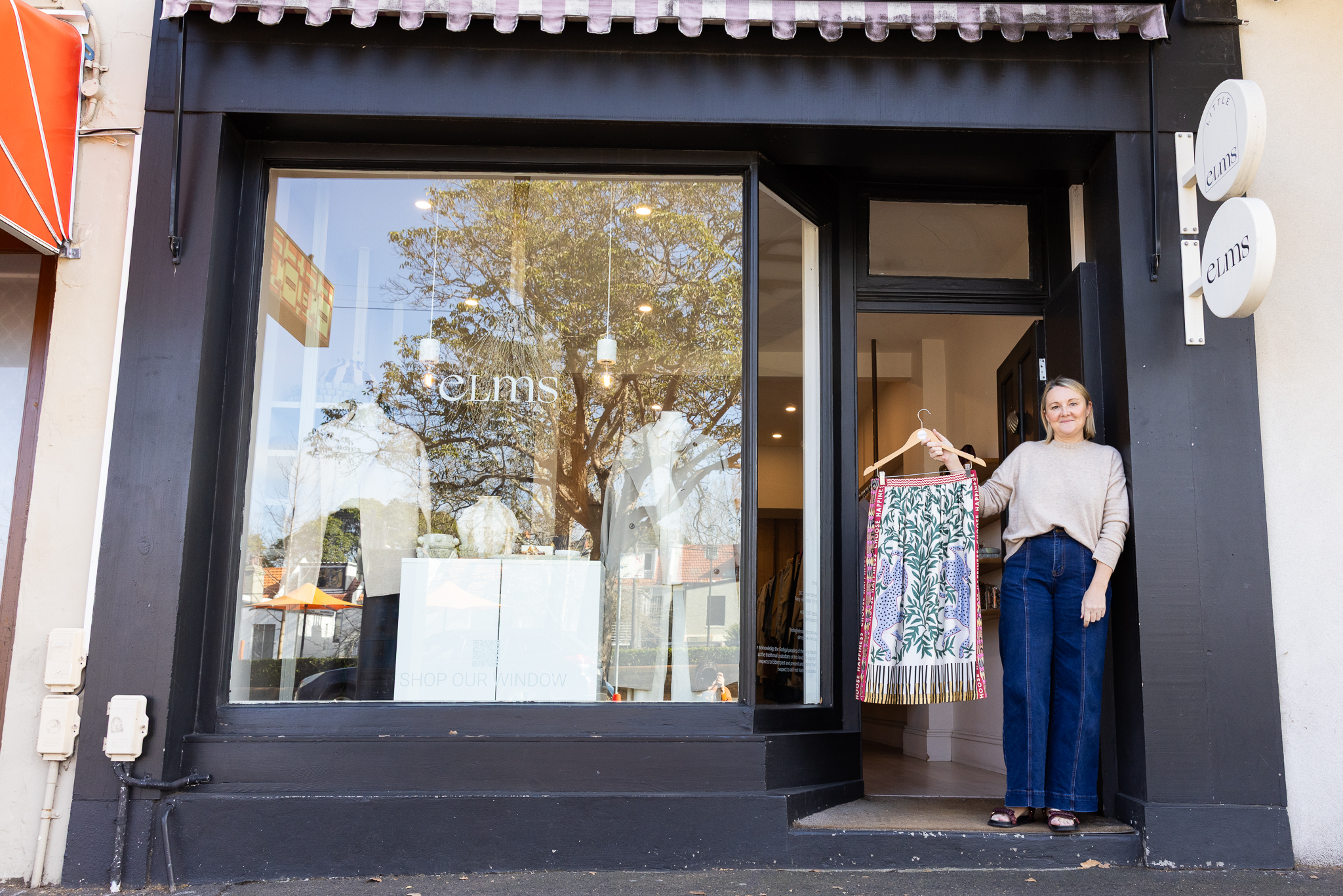 elms on Crown Street. Photo: Abril Felman