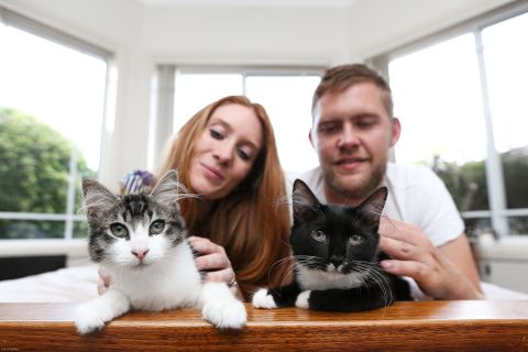 Elizabeth and Peter Williams have adopted two city strays.